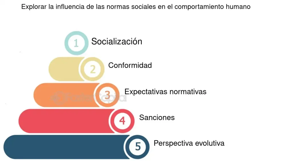 Normas sociales y comportamiento humano su influencia