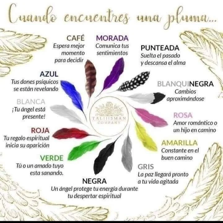 El significado de una pluma blanca y gris