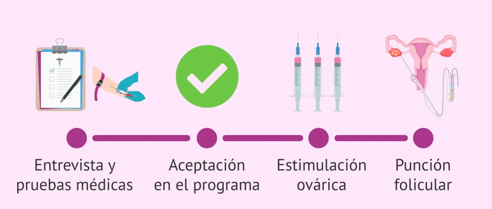 Estableciendo metas realistas en la donación de óvulos