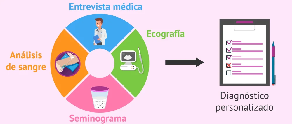 Terapia de Pareja en Reproducción Asistida con Donación de Embriones