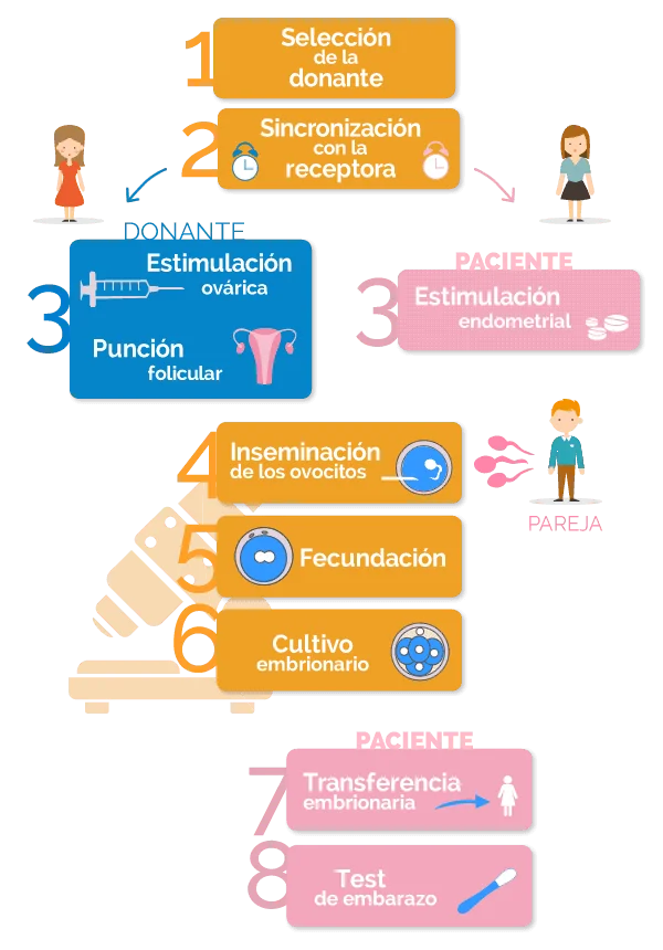 Terapia de pareja y donación de óvulos para fertilidad