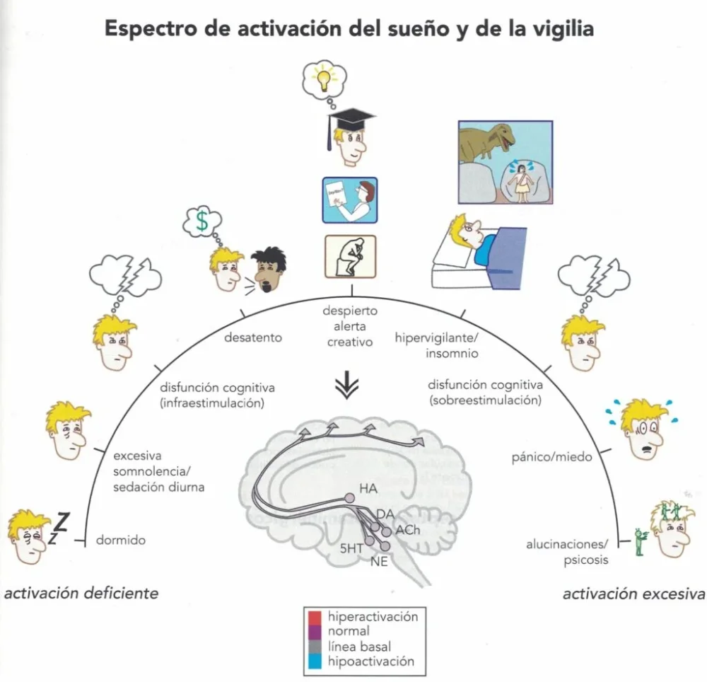 Relación entre trastornos del sueño y comunicación perspectiva optimizada