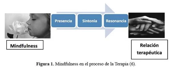 Eficacia de la terapia de mindfulness Enfoque optimizado y conciso
