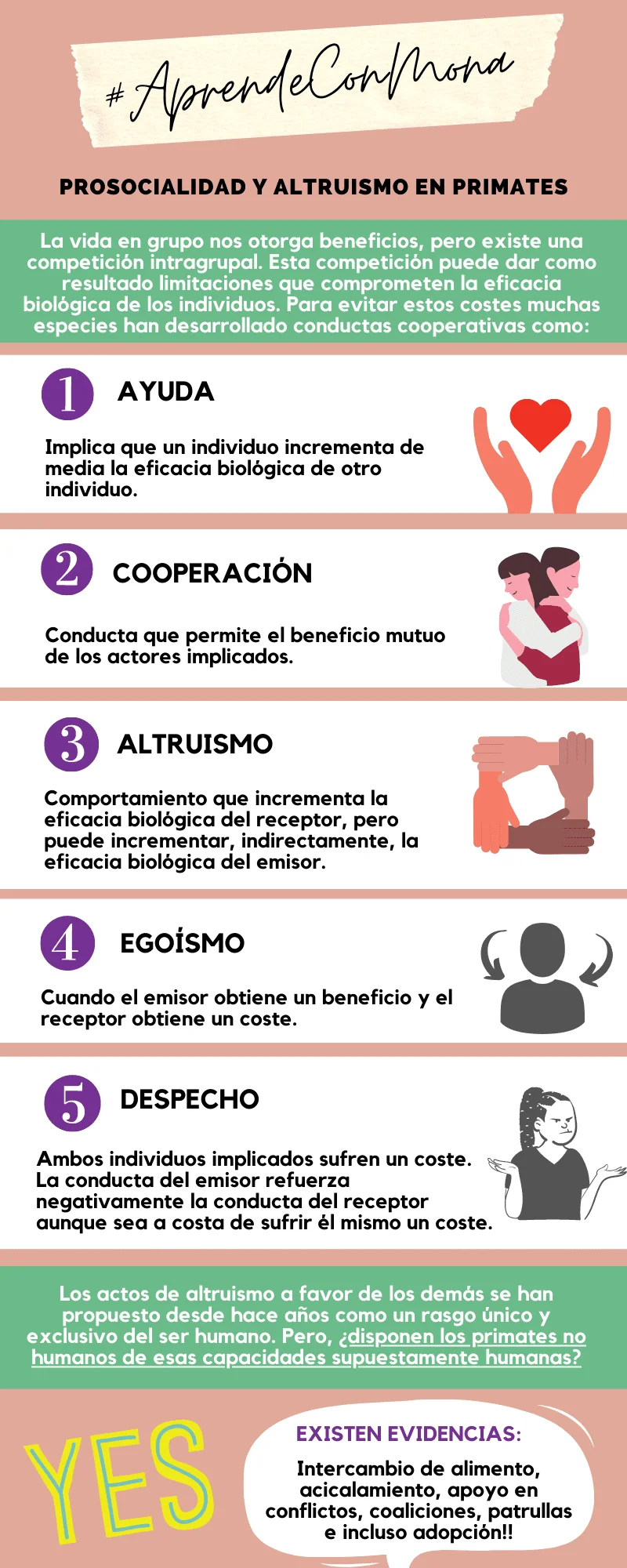 Evolución del altruismo humano