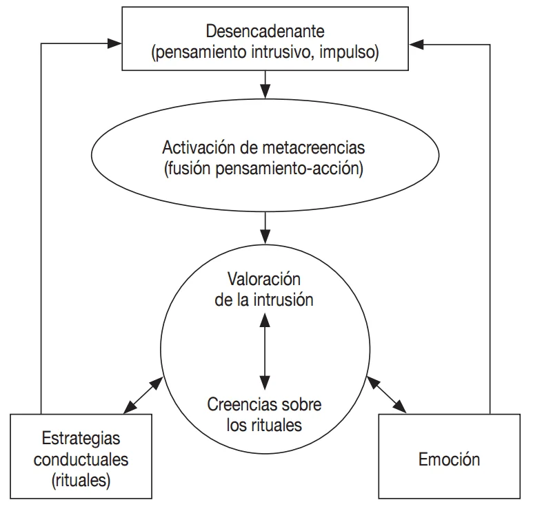 Terapia de metacognición para el TDAH Solución eficaz