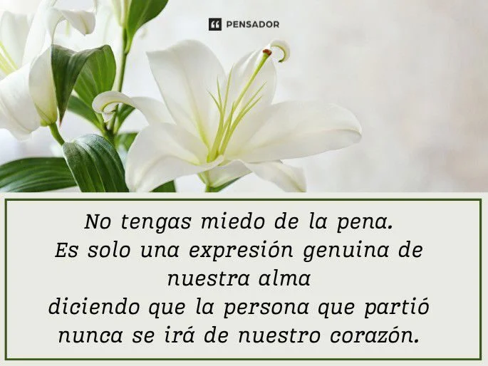 Consuelo en frases para recordar a un ser querido