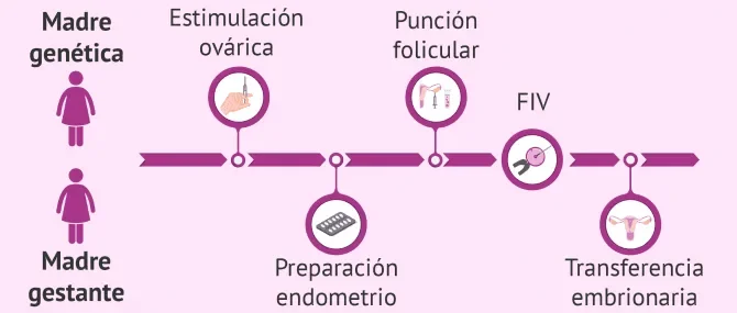 Terapia en la adopción de óvulos enfrentando cambios en pareja