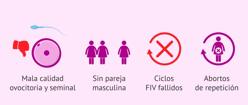 Consejos para fortalecer la relación en adopción de embriones