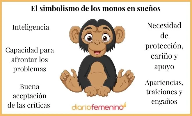 Interpretación bíblica de soñar con monos