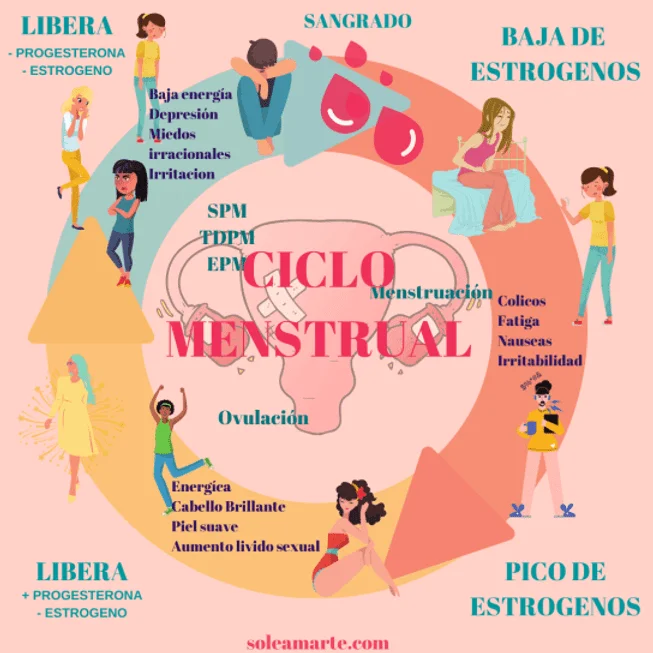 Signos emocionales durante la ovulación Todo lo que necesitas saber