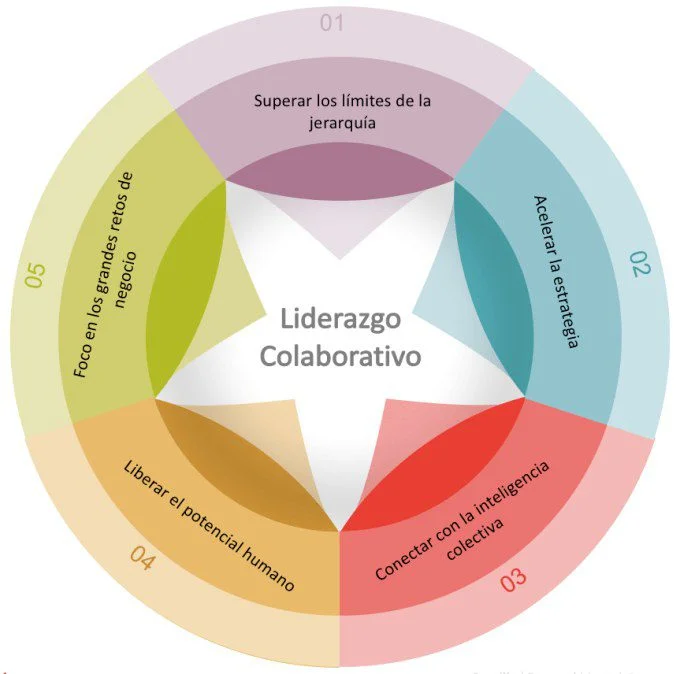 La empatía clave del comportamiento colaborativo
