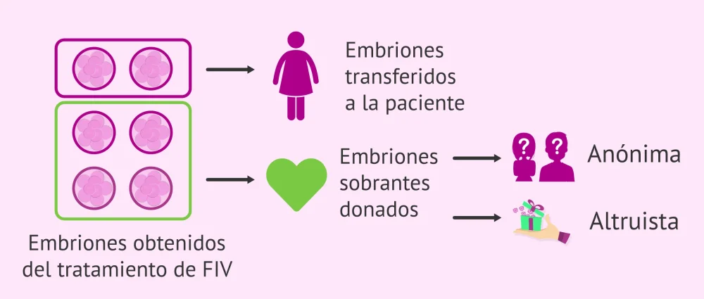 Resiliencia en la Donación de Embriones