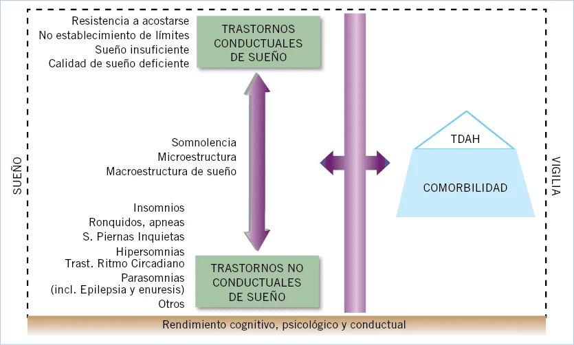 Trastornos del sueño y atención/concentración ¿qué relación existe?