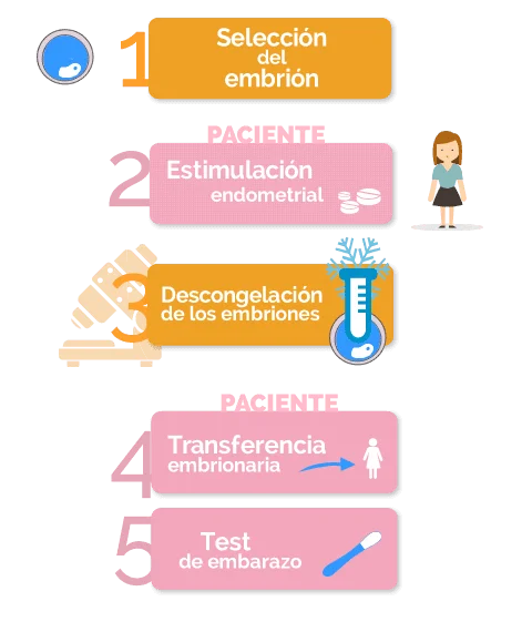 Consejos para adopción de óvulos Cultivando paciencia
