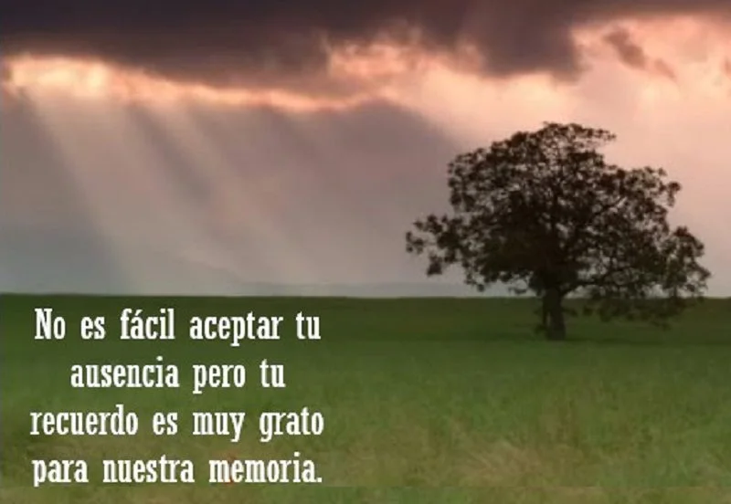 Frases cortas en memoria de seres queridos