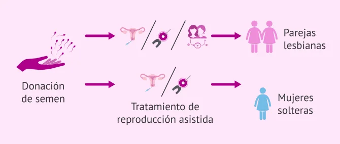 Relación sólida Terapia de pareja y donación de esperma