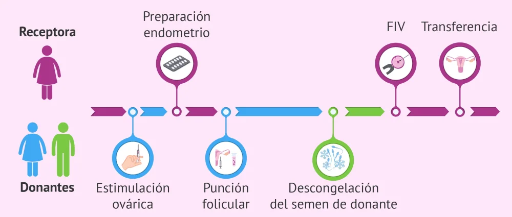 Terapia de pareja Beneficios en la adopción de óvulos