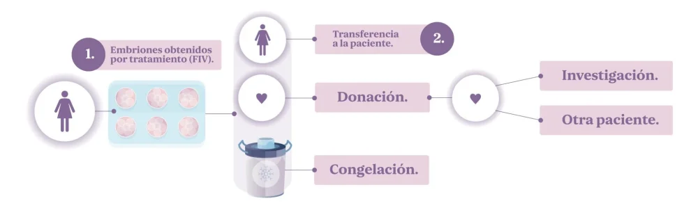 Venciendo barreras emocionales en adopción de embriones