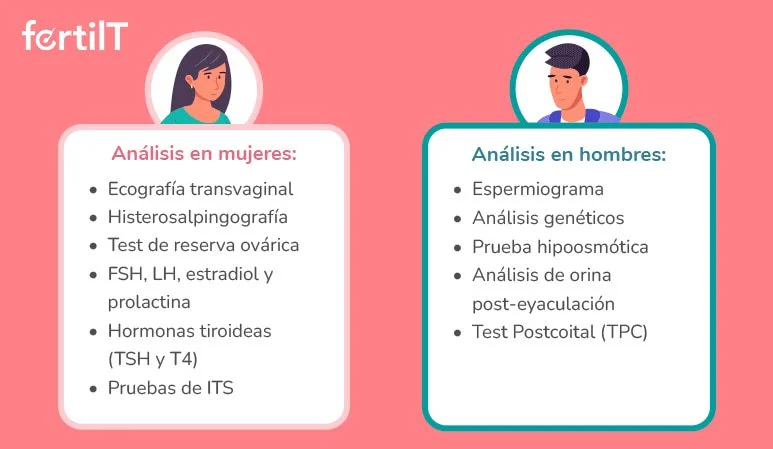 Consejos para una relación saludable en inseminación artificial