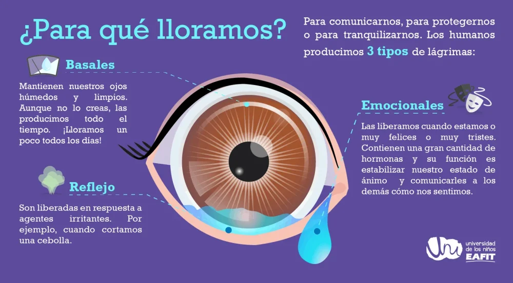 Hormonas y llanto ¿Razones sin motivo?