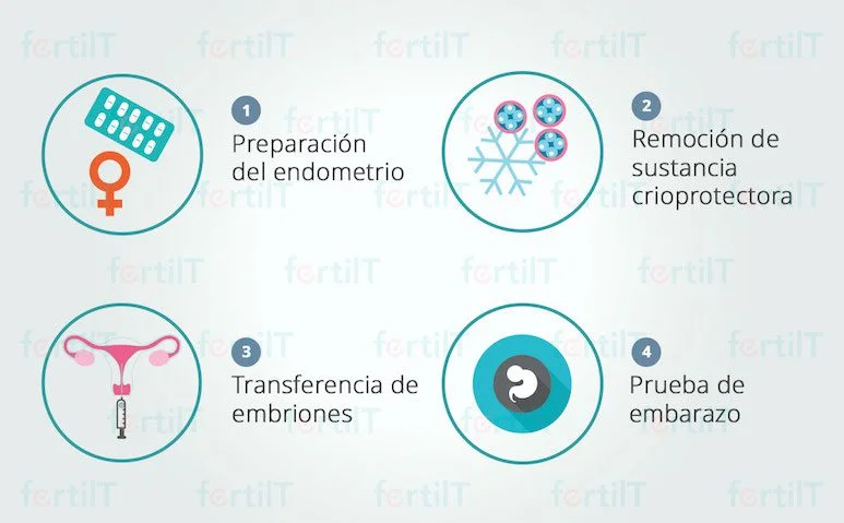 Terapia de pareja para adopción de embriones