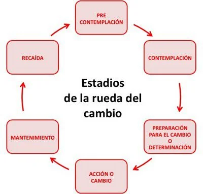 Ciclo de adicción Comportamiento y recaídas