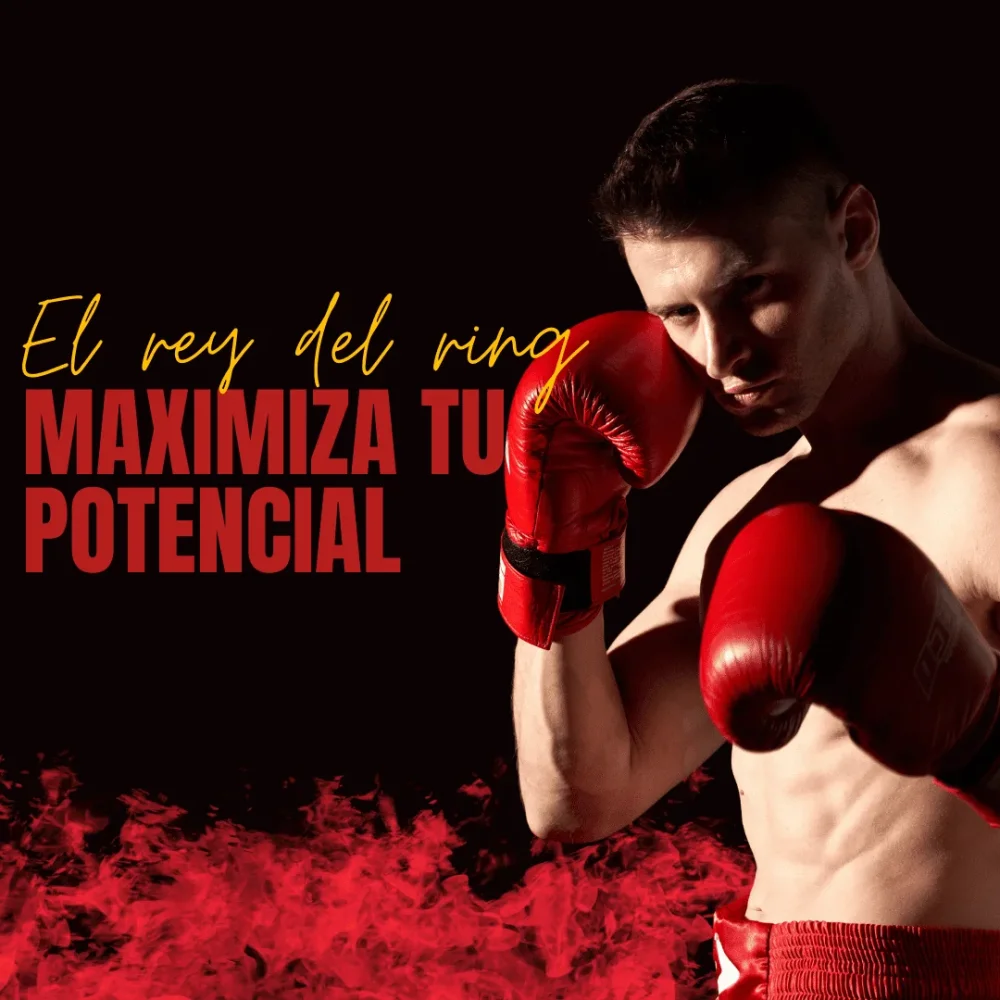 Domina el arte de la pelea Aprende eficazmente