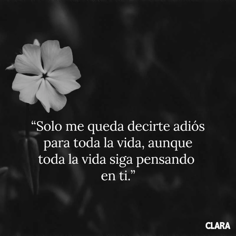 Frases de despedida cortas y hermosas para ser querido